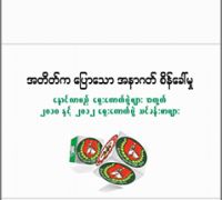 အတိတ်ကပြောသောအနာဂါတ်စိန်ခေါ်မှု - နောင်လာမည့်ရွေးကောက်ပွဲများအတွက်၂၀၁၀ နှင့် ၂၀၁၂ ရွေးကောက်ပွဲသင်ခန်းစာများ