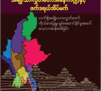 အမျိုးသားလွှတ်တော် အခန်းကဏ္ဍနှင့် ဖက်ဒရယ်အိပ်မက် - လက်ရှိအမျိုးသားလွှတ်တော် ကိုယ်စားပြုမှု၊ စွမ်းဆောင်နိုင်မှုအပေါ် လေ့လာဆန်းစစ်ခြင်း